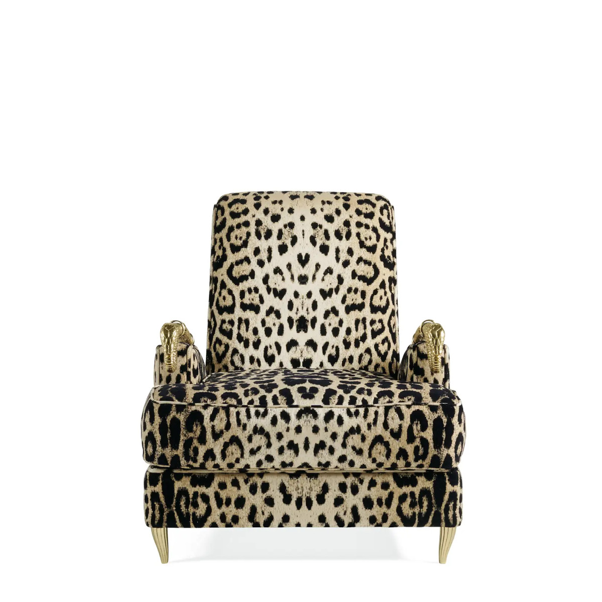 14324-RCHI_SNAKE2_MAIN