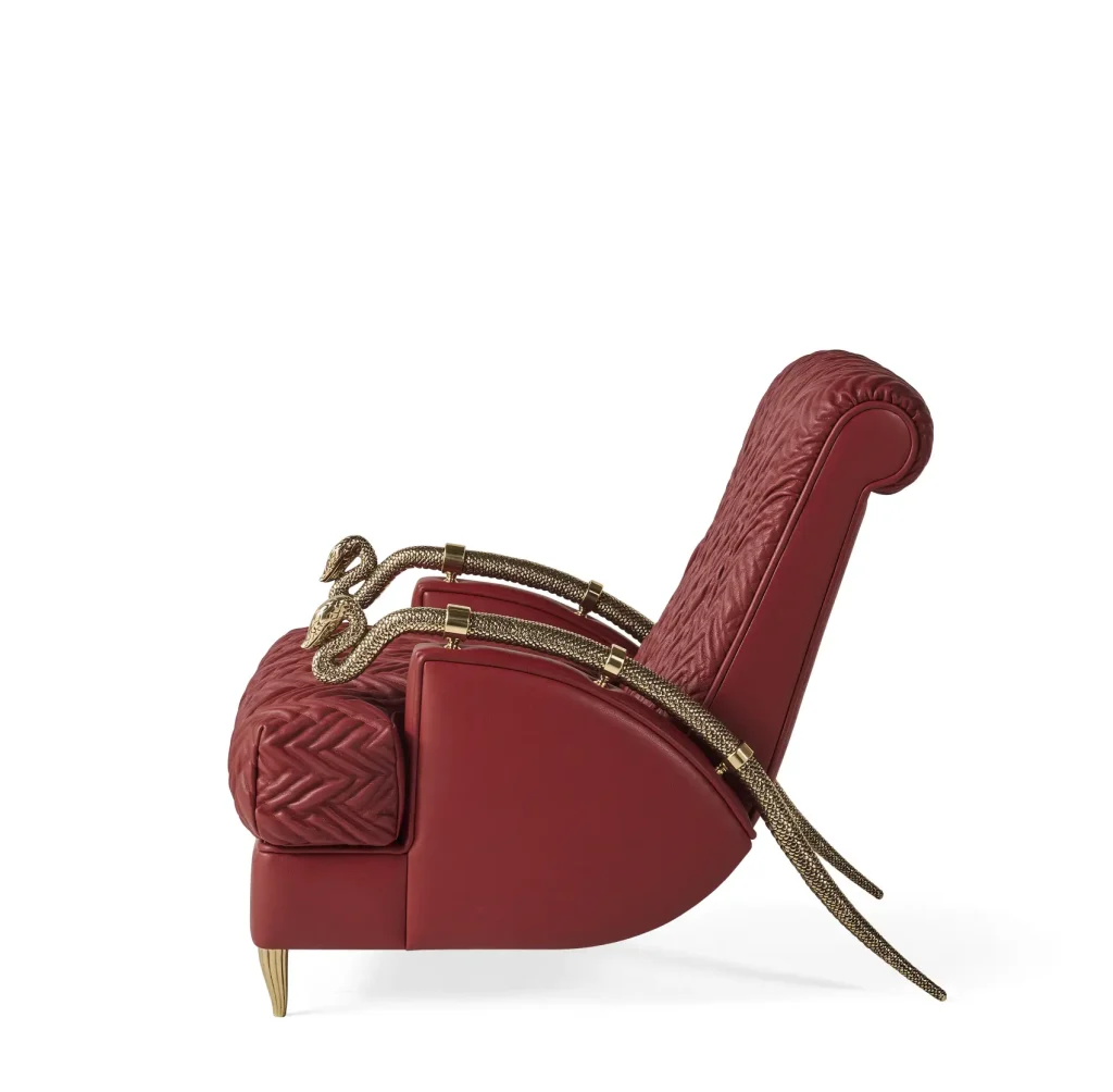 24721-RCHI_SNAKE-SLEEK_armchair_C.SN2.221.AAX_2025_03