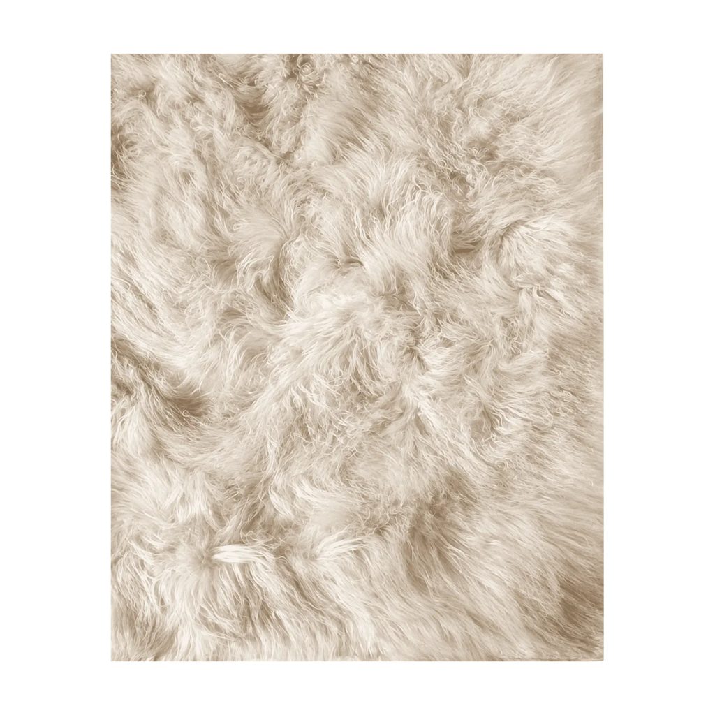 MONGOLIA rug by Roberto Cavalli Home Interiors