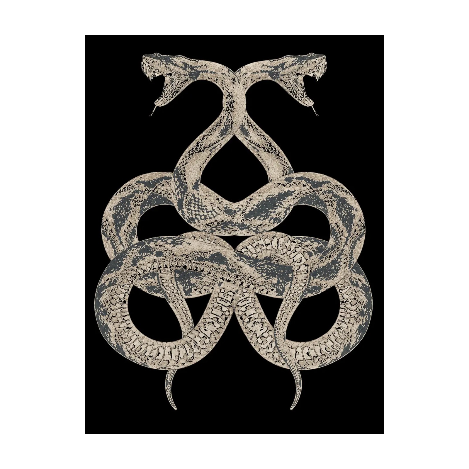 SNAKE rug by Roberto Cavalli Home Interiors